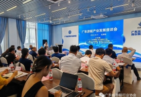 聚才献策，共同发声！广东游艇产业发展座谈会干货满满