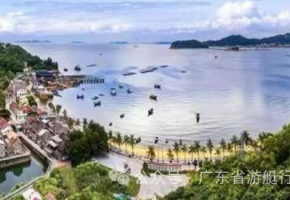 广东省游艇行业协会会长王照云率团率团走进阳东区大澳渔村