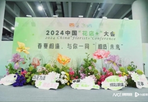 2024“广花节”花城启幕，助力“花经济”