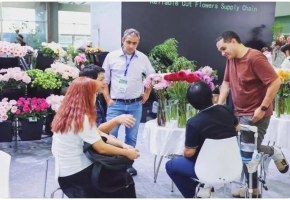 赋能花卉业新未来，2024广州国际花艺节暨亚洲花卉产业博览会正式启幕