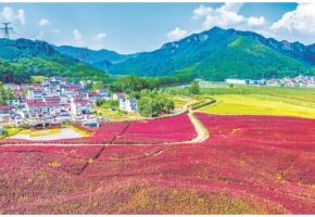 安徽省推出光储产业“千百亿”企业培育行动