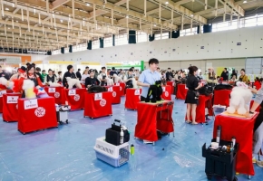 世界宠物展来南京了