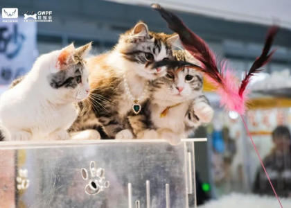 3月28日，鸿威·世宠会南京展展会现场 