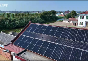 特写：屋顶上的“绿色银行”