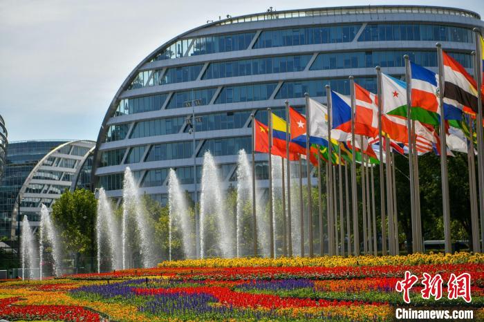 第五届进博会场馆景观装饰全面定妆。　陈梦泽 摄